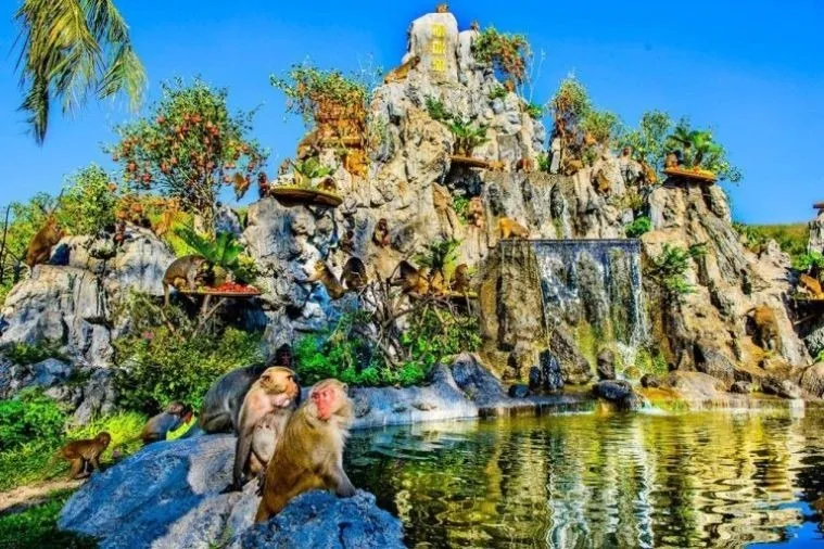 Khám phá đảo khỉ nha trang