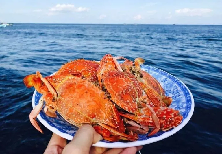 Delicious and attractive Ninh Phu Quoc Korean crab