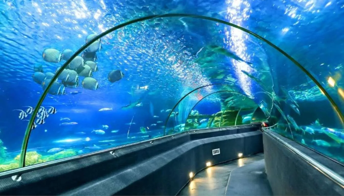 Khám phá thủy cung tại Nha Trang