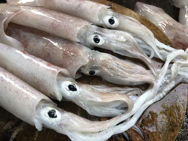 Nha Trang Squid Fresh, Crunchy and Full of Ocean Flavour