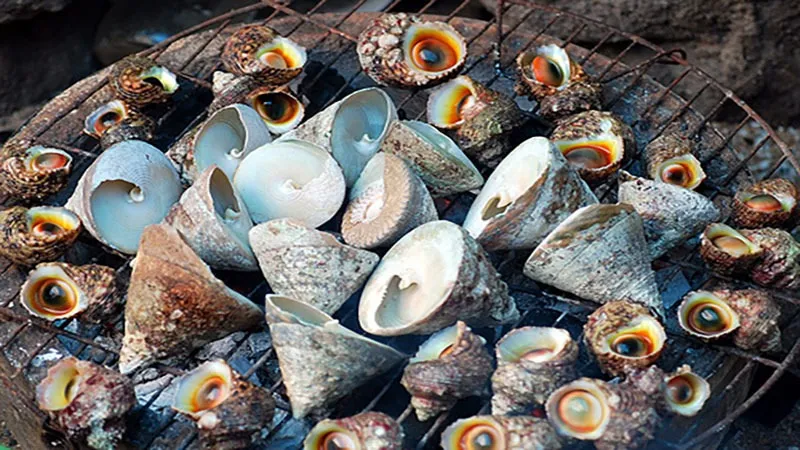 Diverse Range of Sea Snails a Foodie's Delight