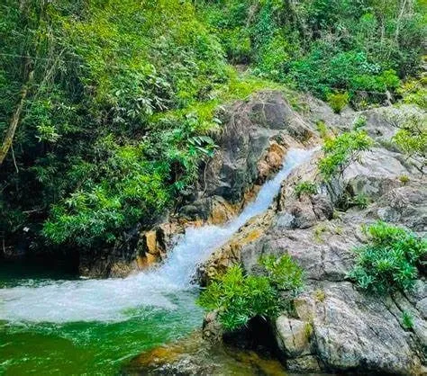 Vẻ đẹp rừng nguyên sinh hòn bà Nha Trang