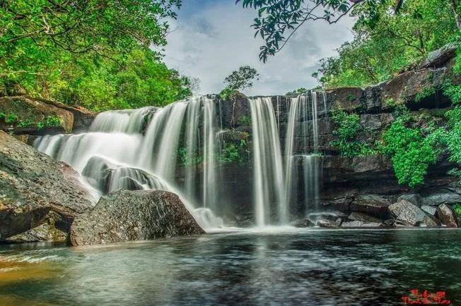 Vẻ đẹp của suối tranh