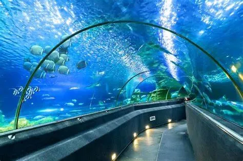 Thủy cung ở nha Trang