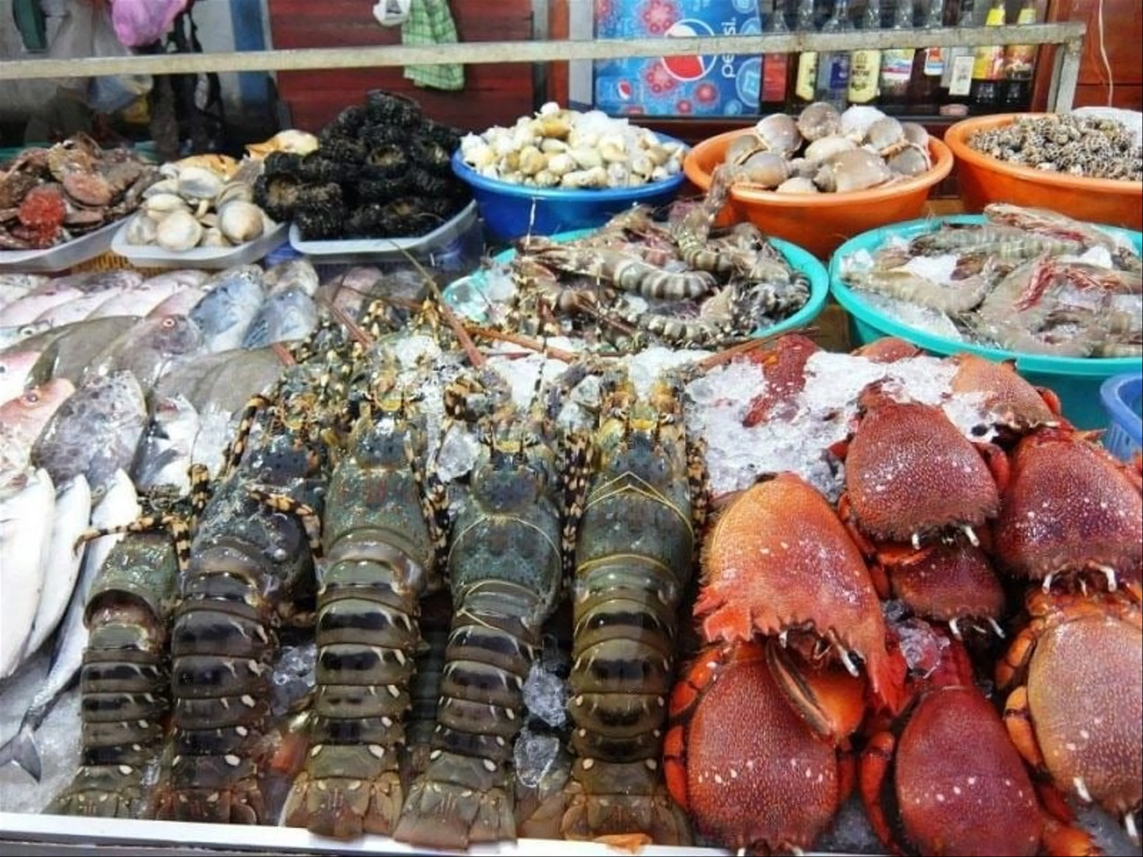 Kinh nghiệm du lịch Nha Trang 2025 Ăn gì, chơi gì, ở đâu từ A đến Z