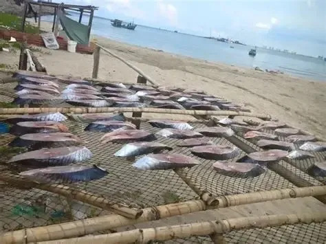 Cá thu một nắng thơm ngon