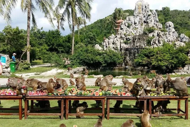 Khỉ ăn hoa quả