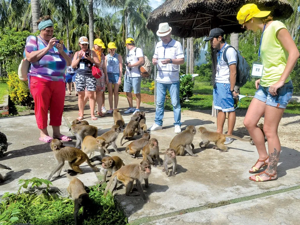Cho khỉ ăn tại đảo khỉ Nha Trang