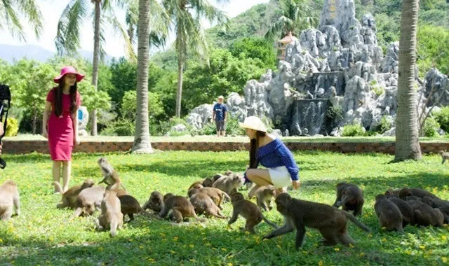 Khám phá vẻ đẹp của đảo khi Nha Trang