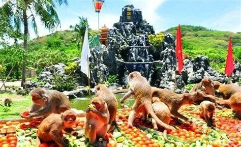 Vẻ đẹp đảo khỉ Nha Trang