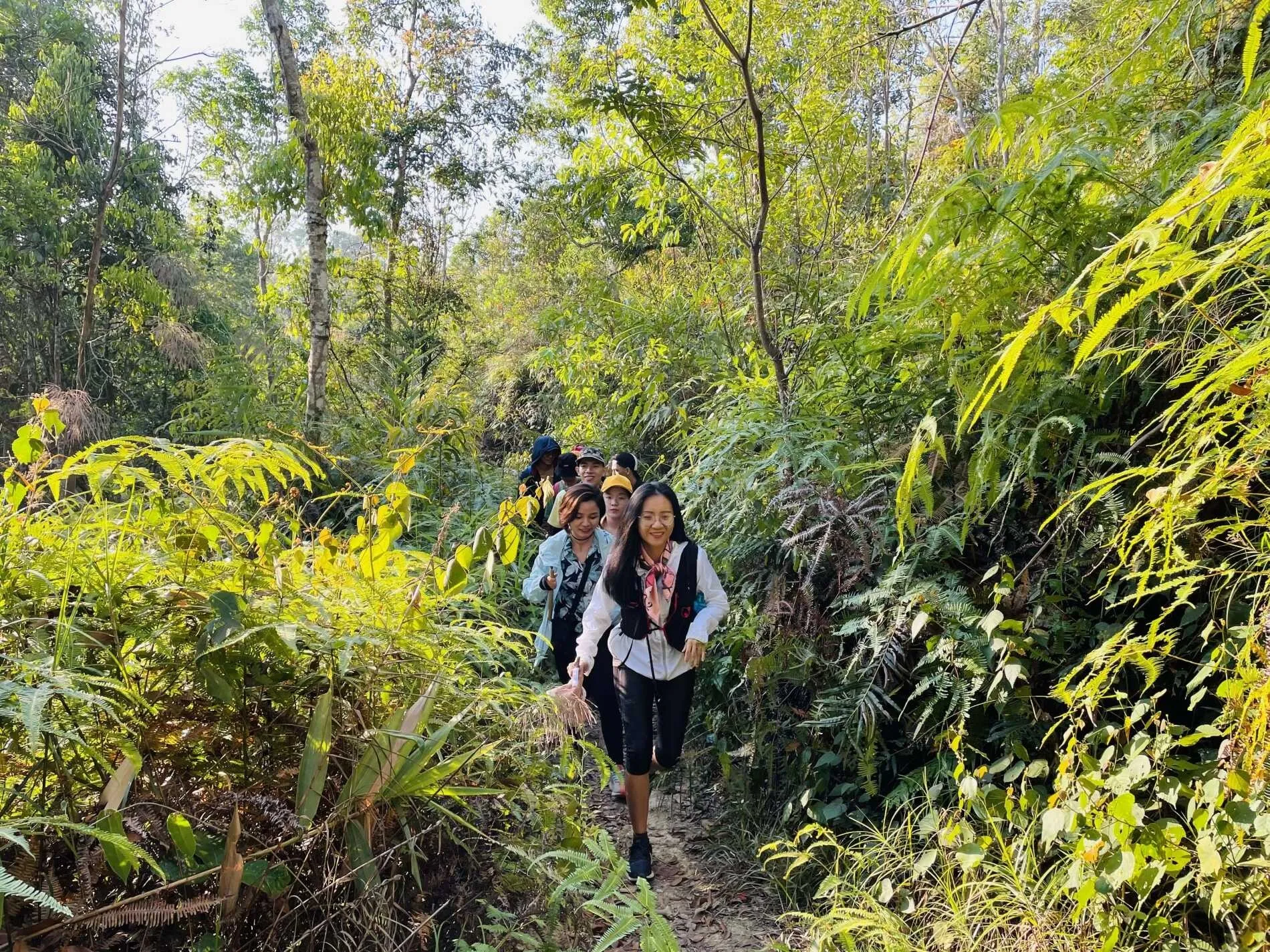 Trekking and Forest Hikes