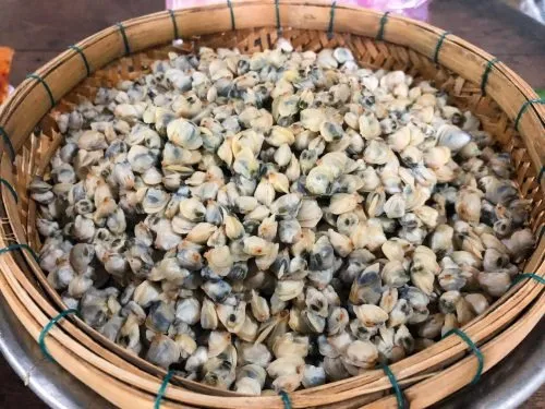 Hến tươi luộc lấy ruột