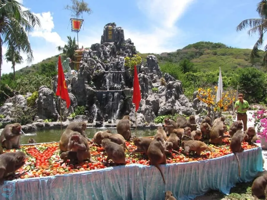Vẻ đẹp của đảo khỉ nha trang