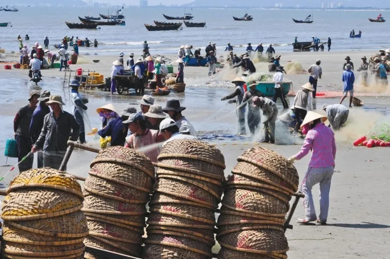 Vẻ đẹp tại làng chài hải tiến thanh hóa
