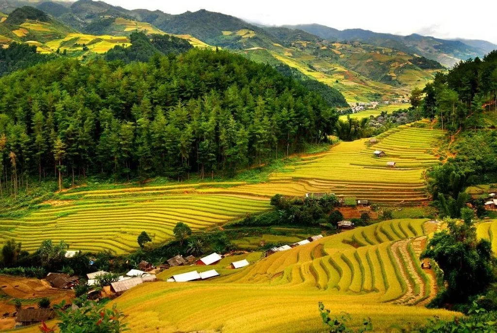Pu Luong Nature Reserve the Emerald Gem of Thanh Hoa’s Northwestern Highlands