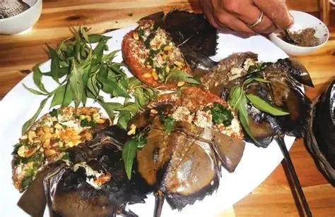 Sam biển – đặc sản độc đáo