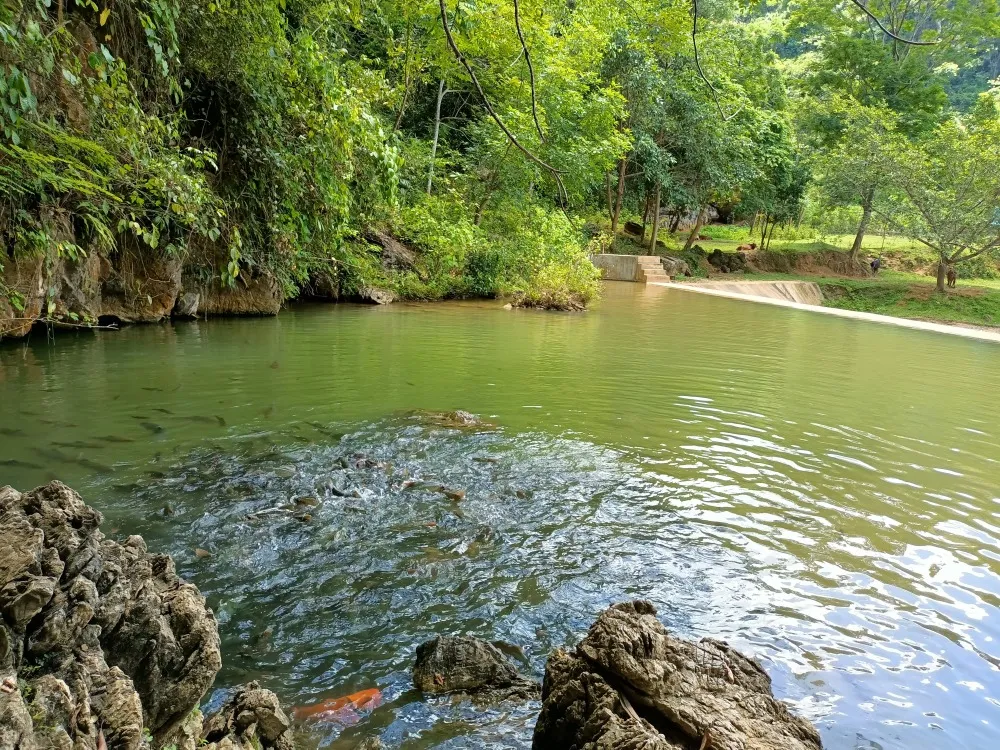 Thanh Hóa hành trình về với thiên nhiên và tâm linh