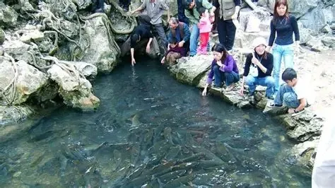 Cầu may tại suối cá thần