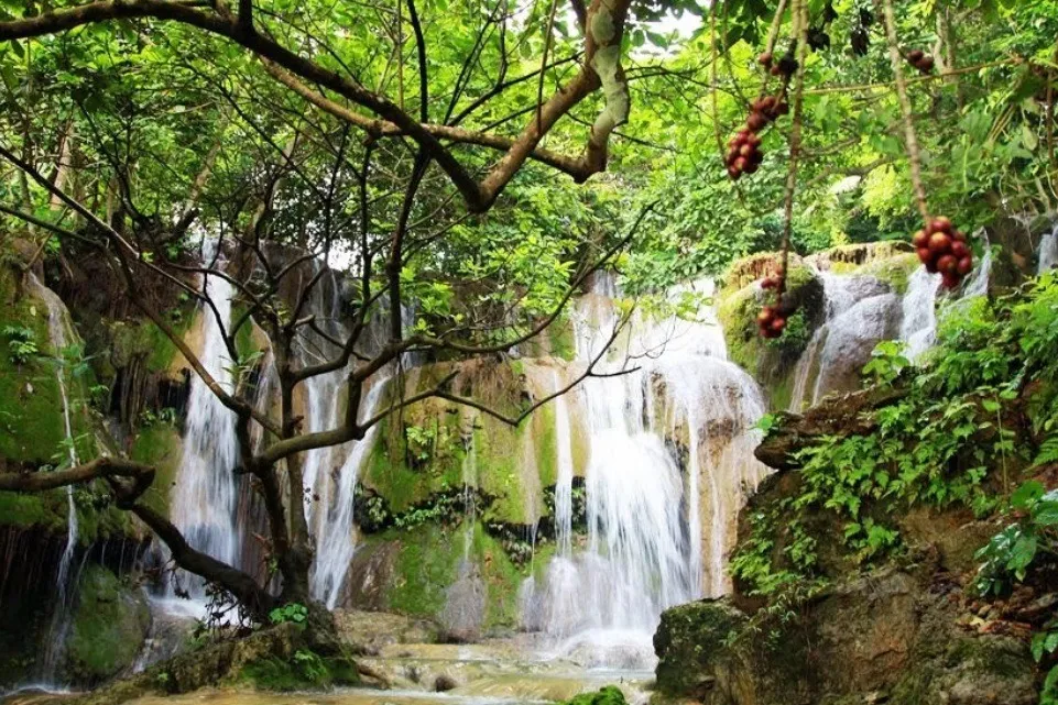 Thác Voi Vẻ đẹp kỳ vĩ giữa rừng nguyên sinh
