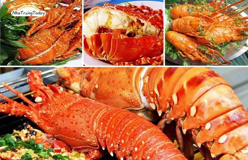 Tôm hùm Nha Trang