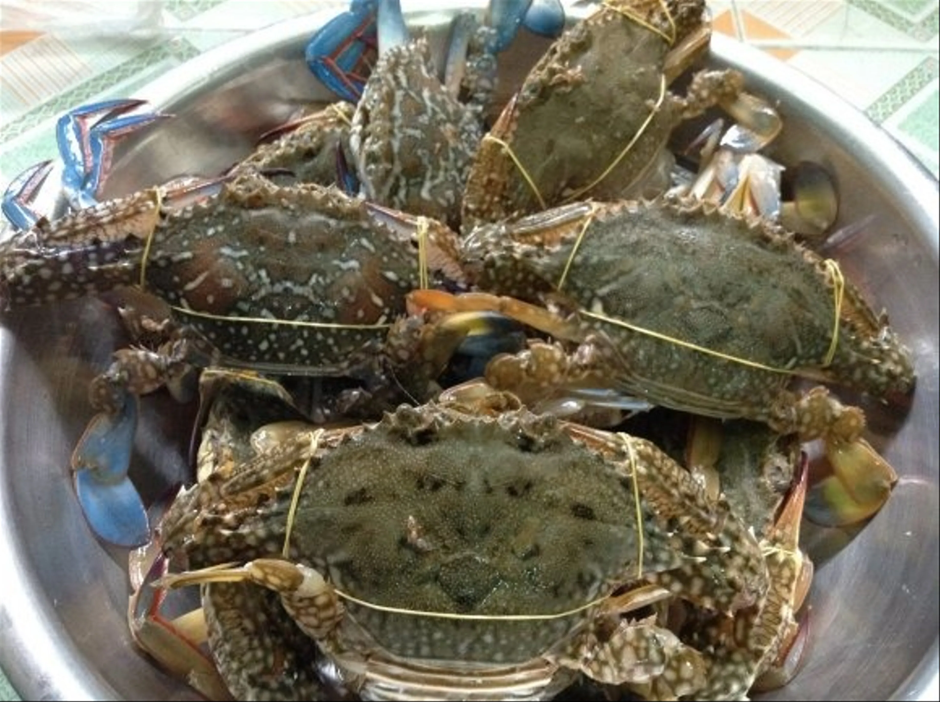 Nha Trang Crab a Coastal Culinary Gem of Khanh Hoa