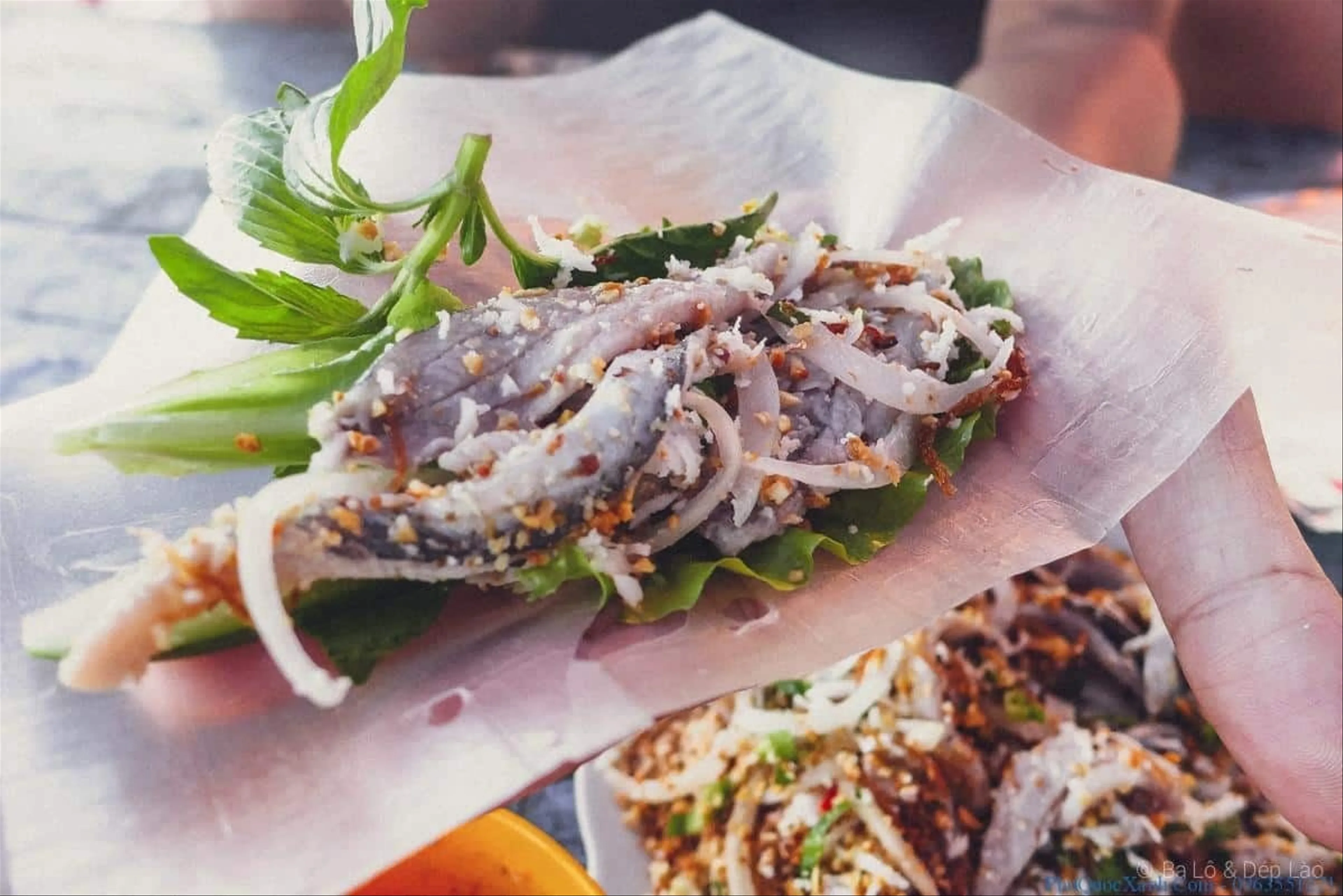 Gỏi cá chích Nha Trang hương vị biển cả tươi ngon khó cưỡng