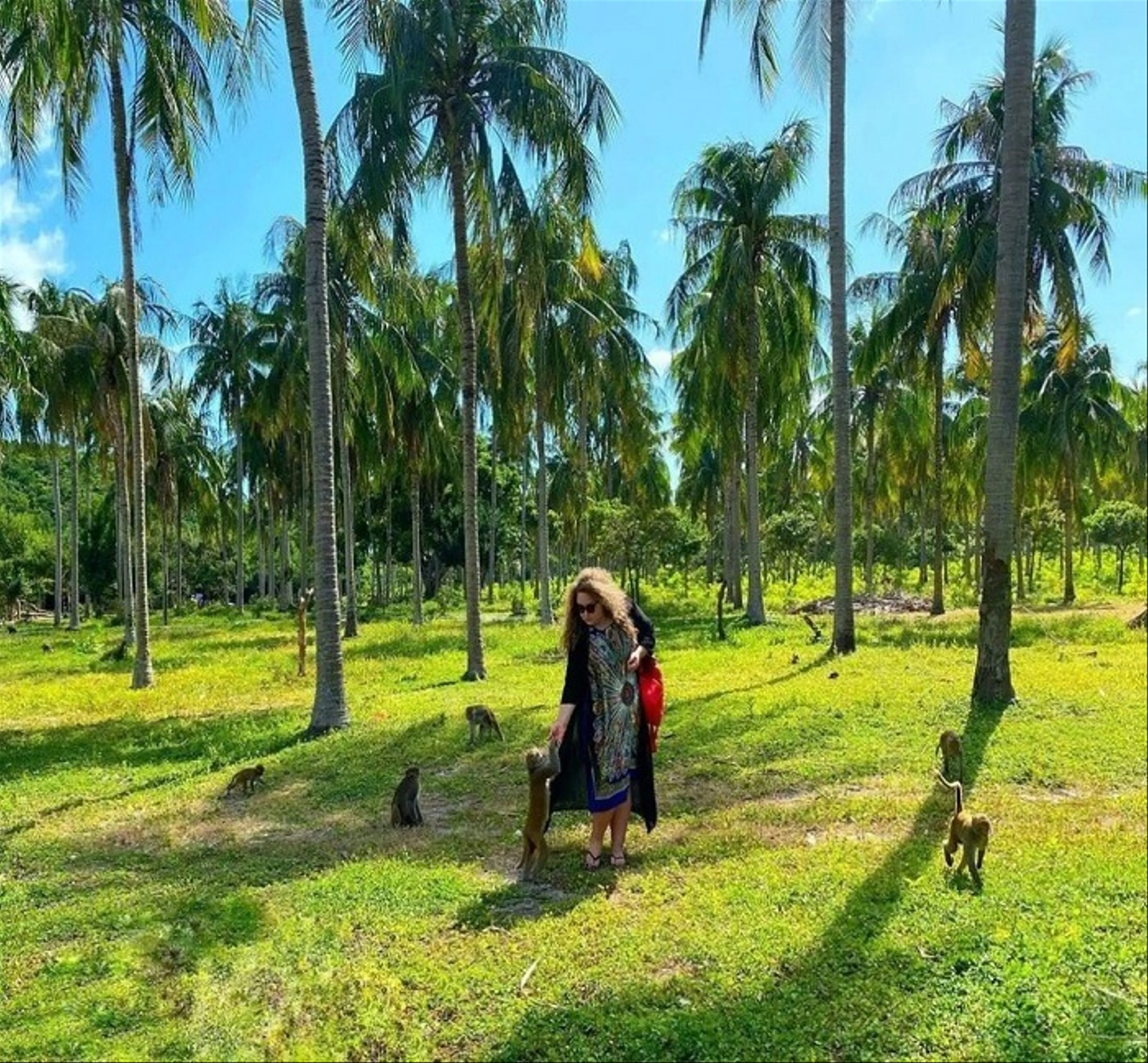 Discover Monkey Island Nha Trang Where Nature Meets Wildlife Adventure
