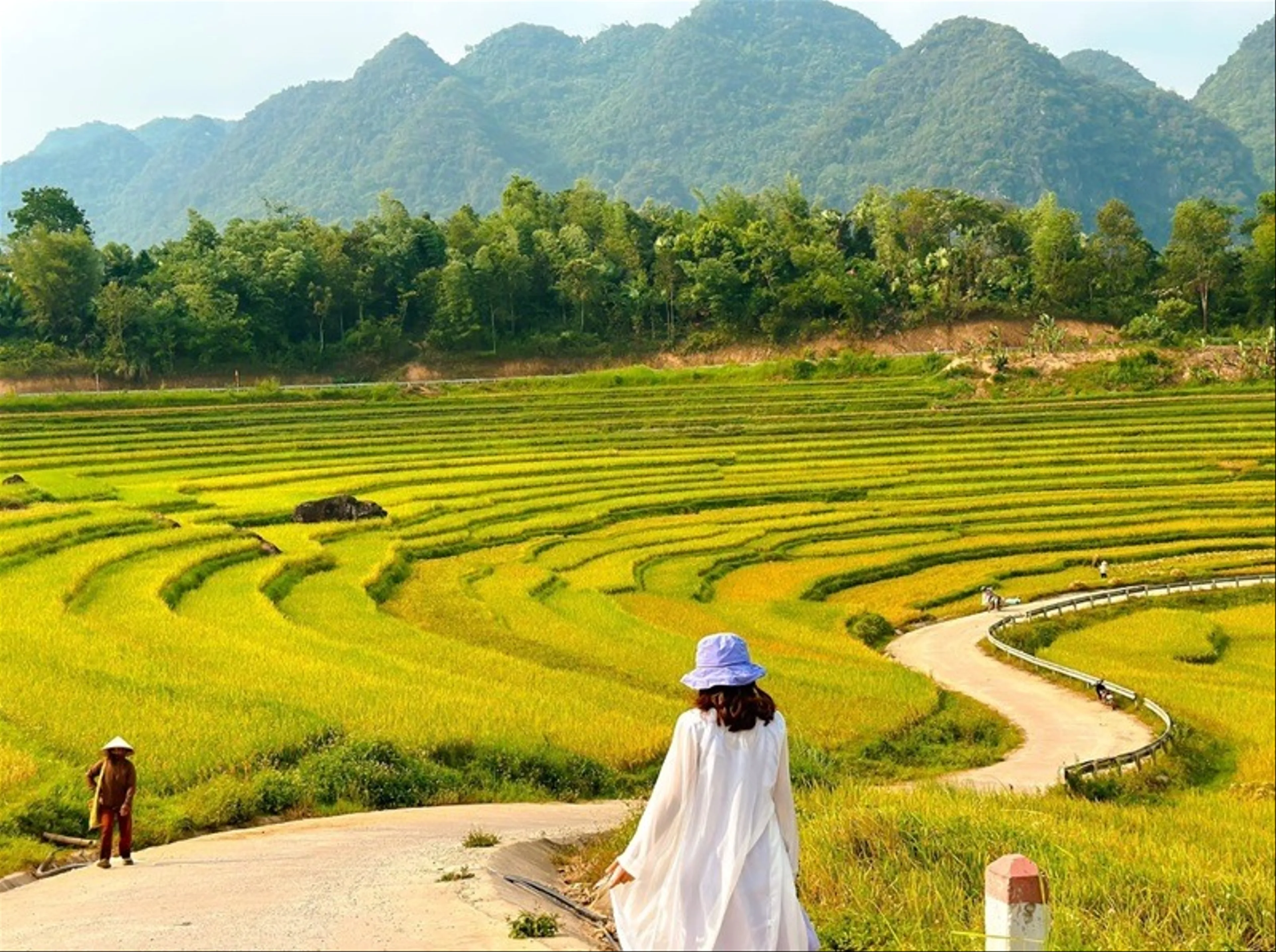 Pu Luong Nature Reserve the Emerald Gem of Thanh Hoa’s Northwestern Highlands