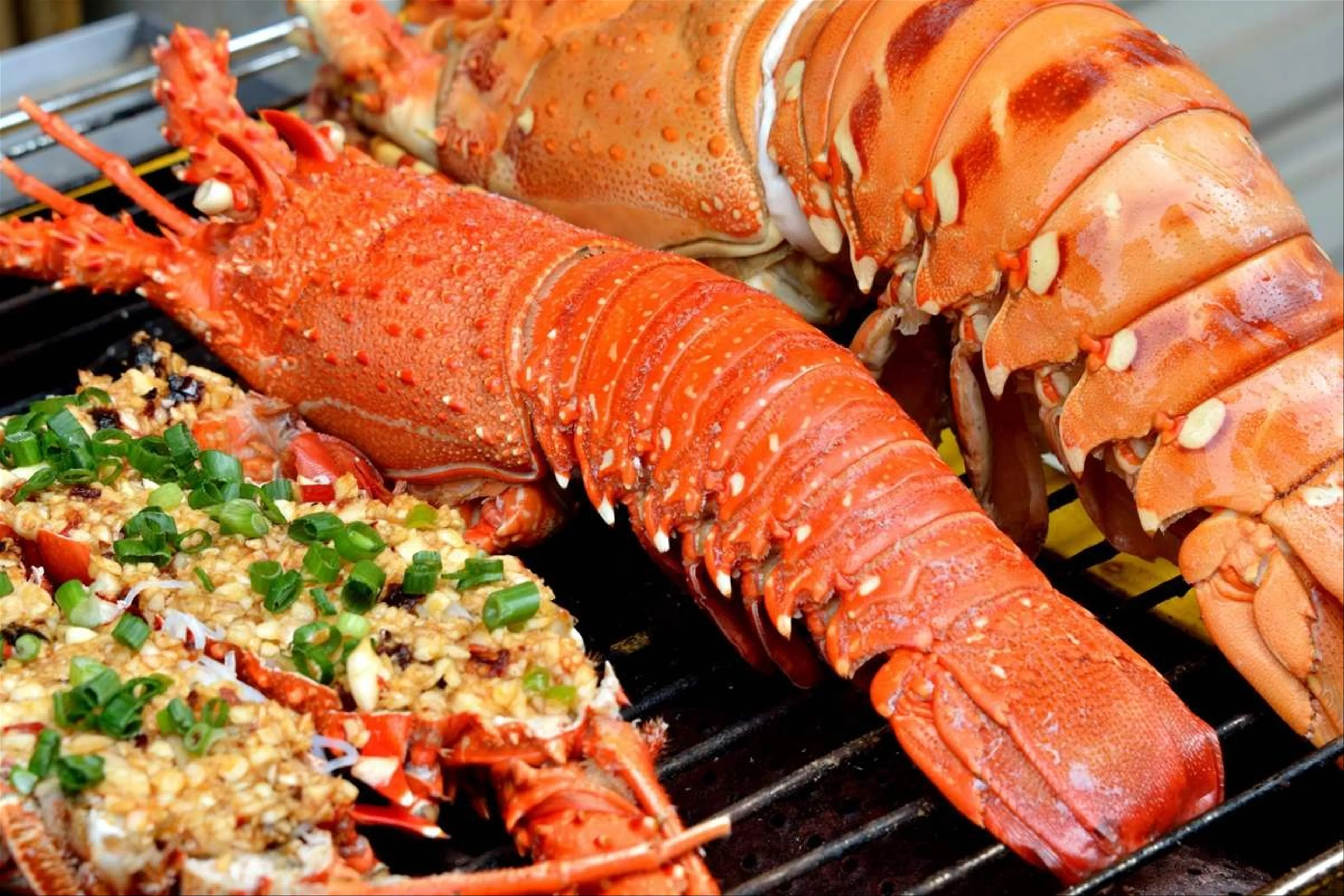 Tôm hùm Nha Trang tinh hoa ẩm thực biển Khánh Hòa