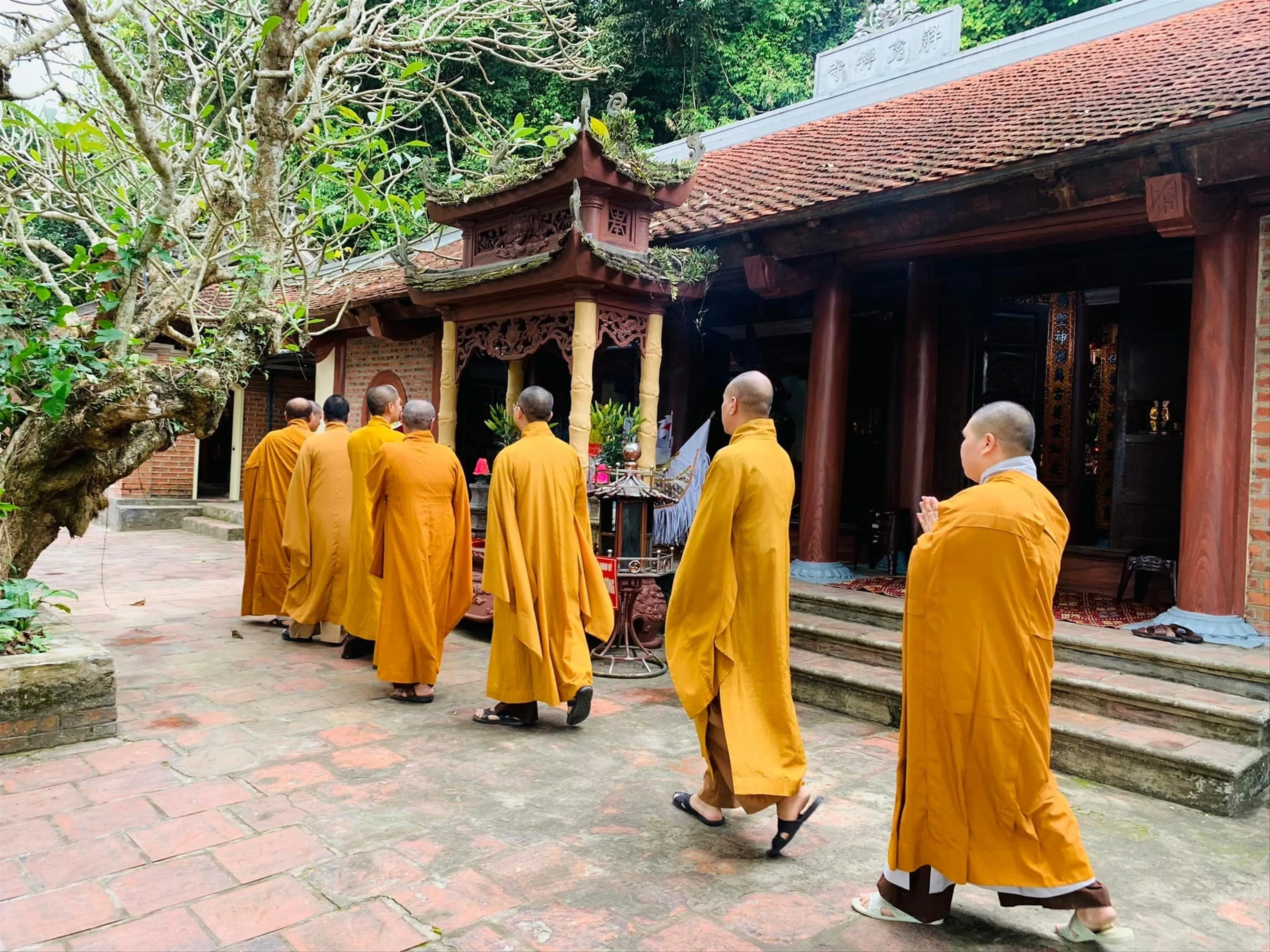 Spiritual Journey to the Sacred Buddhist Land Yen Tu Pagoda in Quảng Ninh, Vietnam