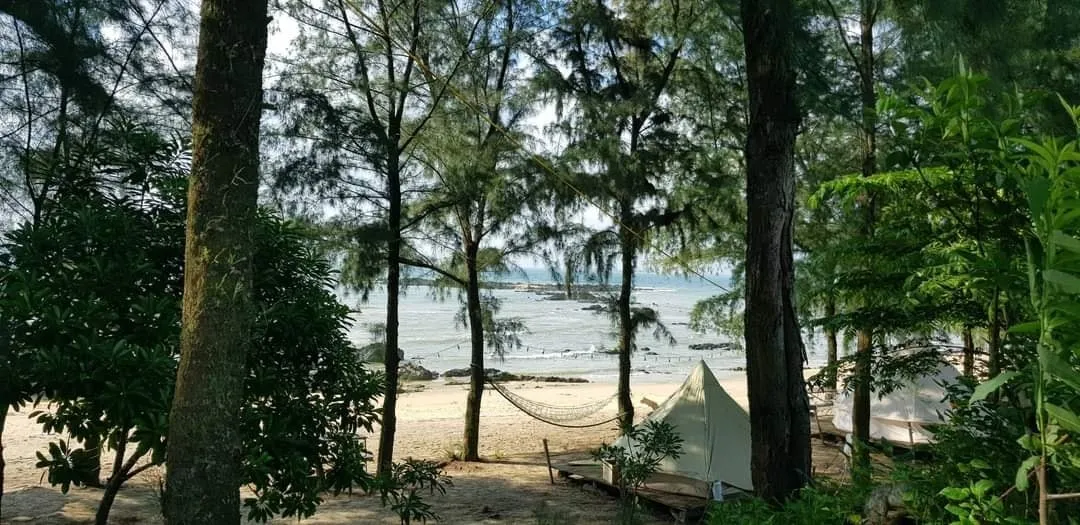 Cắm trại tại rặng phi lao ở cái chiên