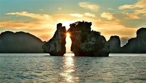 Hòn gà chọi