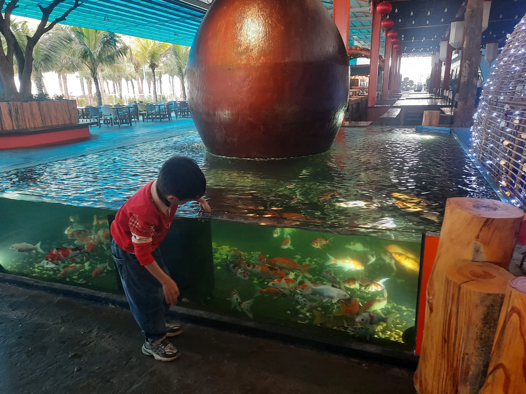 Bể các coi tại Phuong Đông
