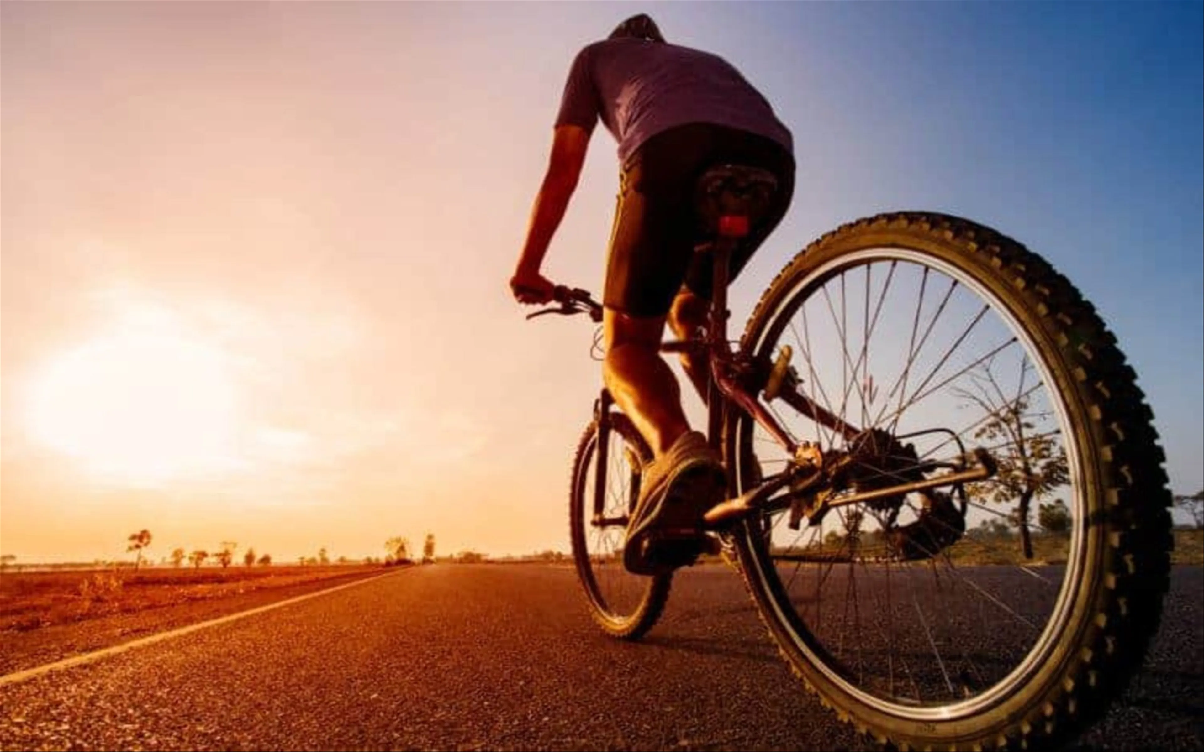 Top 5 địa điểm tuyệt vời để đạp xe ở Hàn Quốc