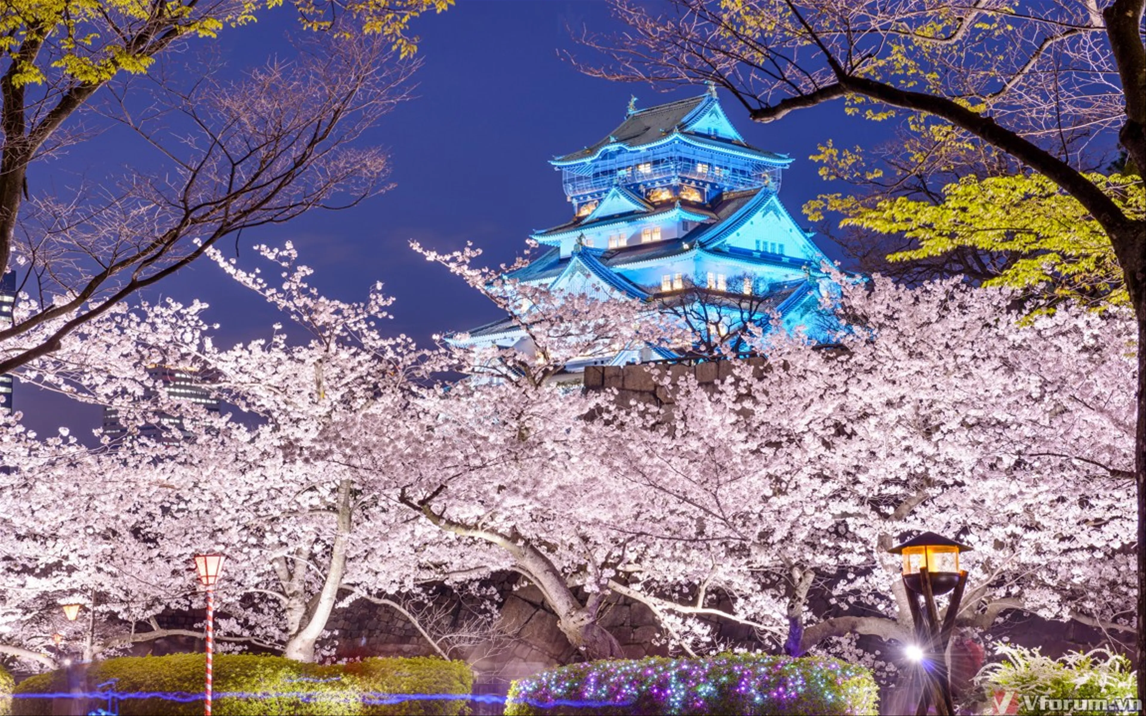 Hướng dẫn tới Osaka của một sinh viên: Những thứ rẻ nhất và những nơi miễn phí