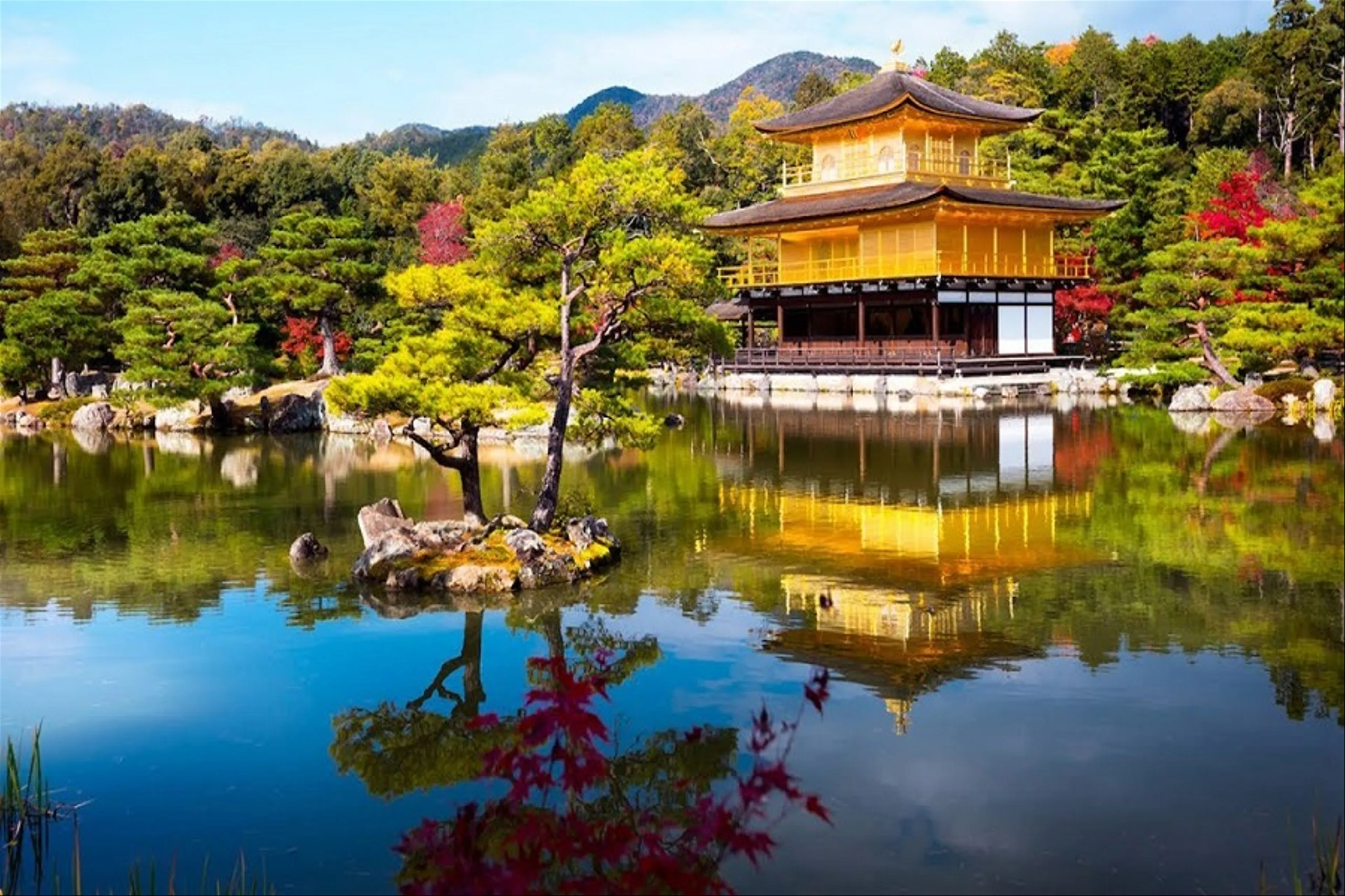 Hướng dẫn đi du lịch một mình đến Kyoto Nhật Bản