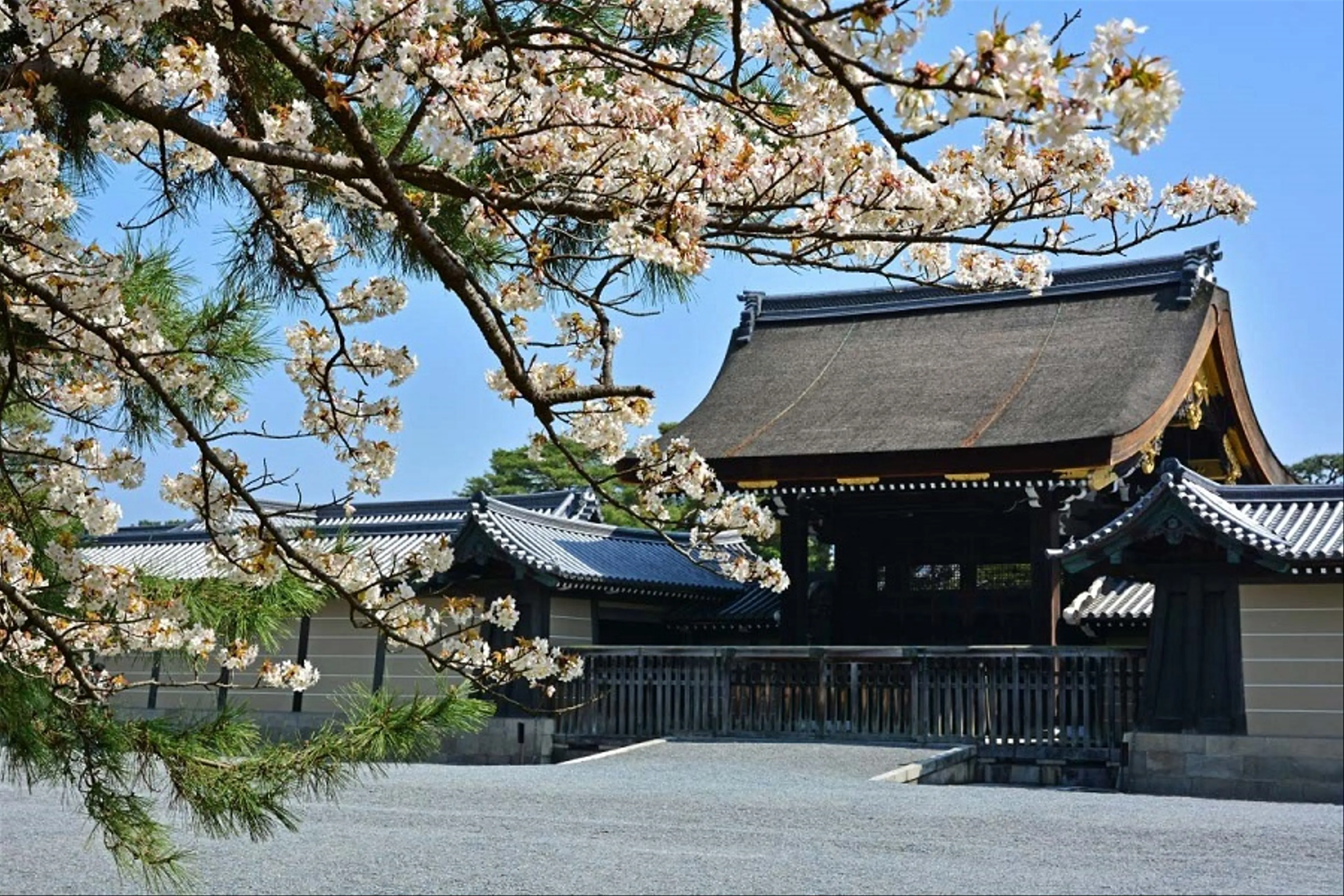 Những trải nghiệm độc đáo ở Kyoto