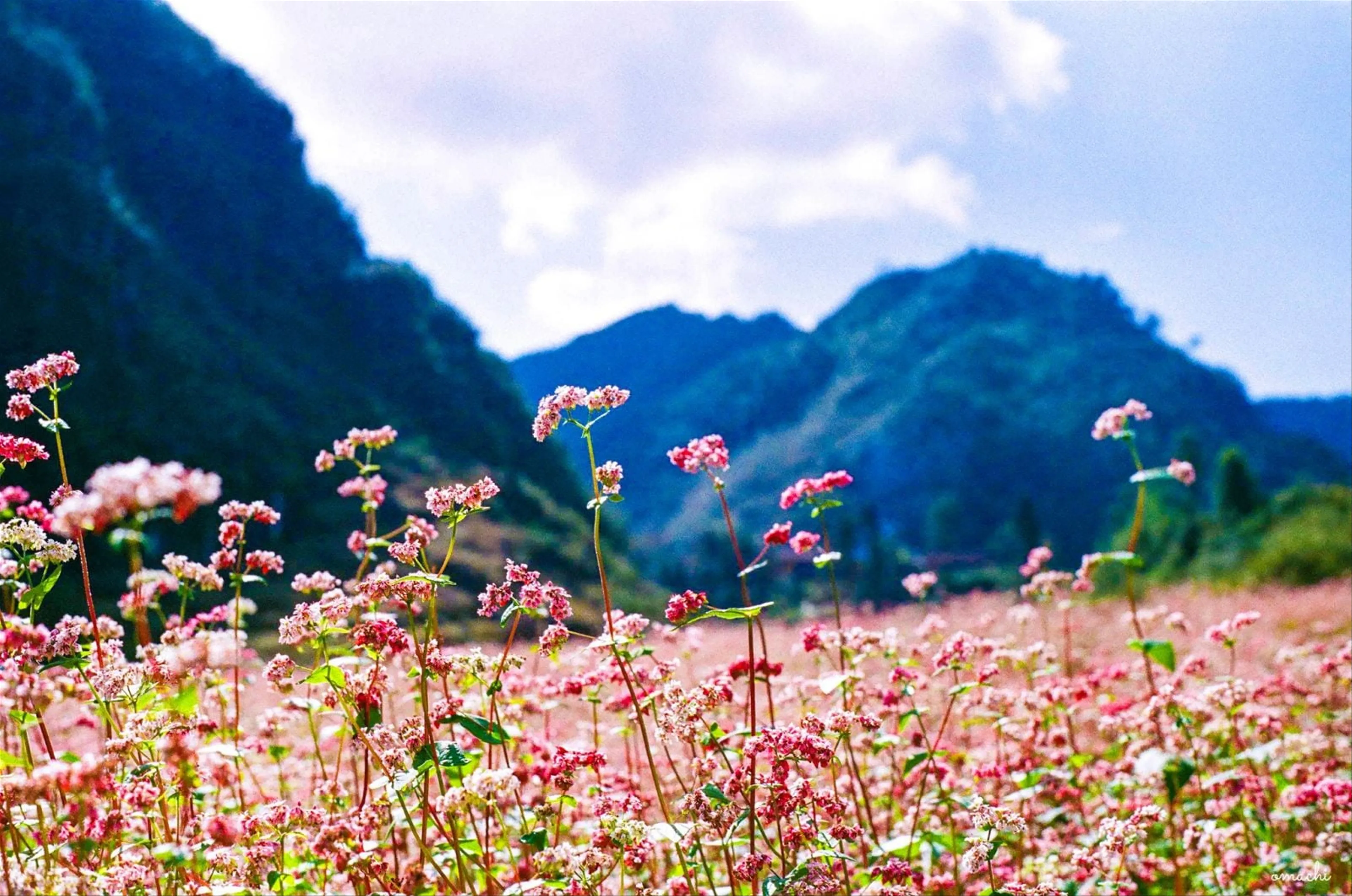 Hà Giang - Miền biên viễn xa xôi