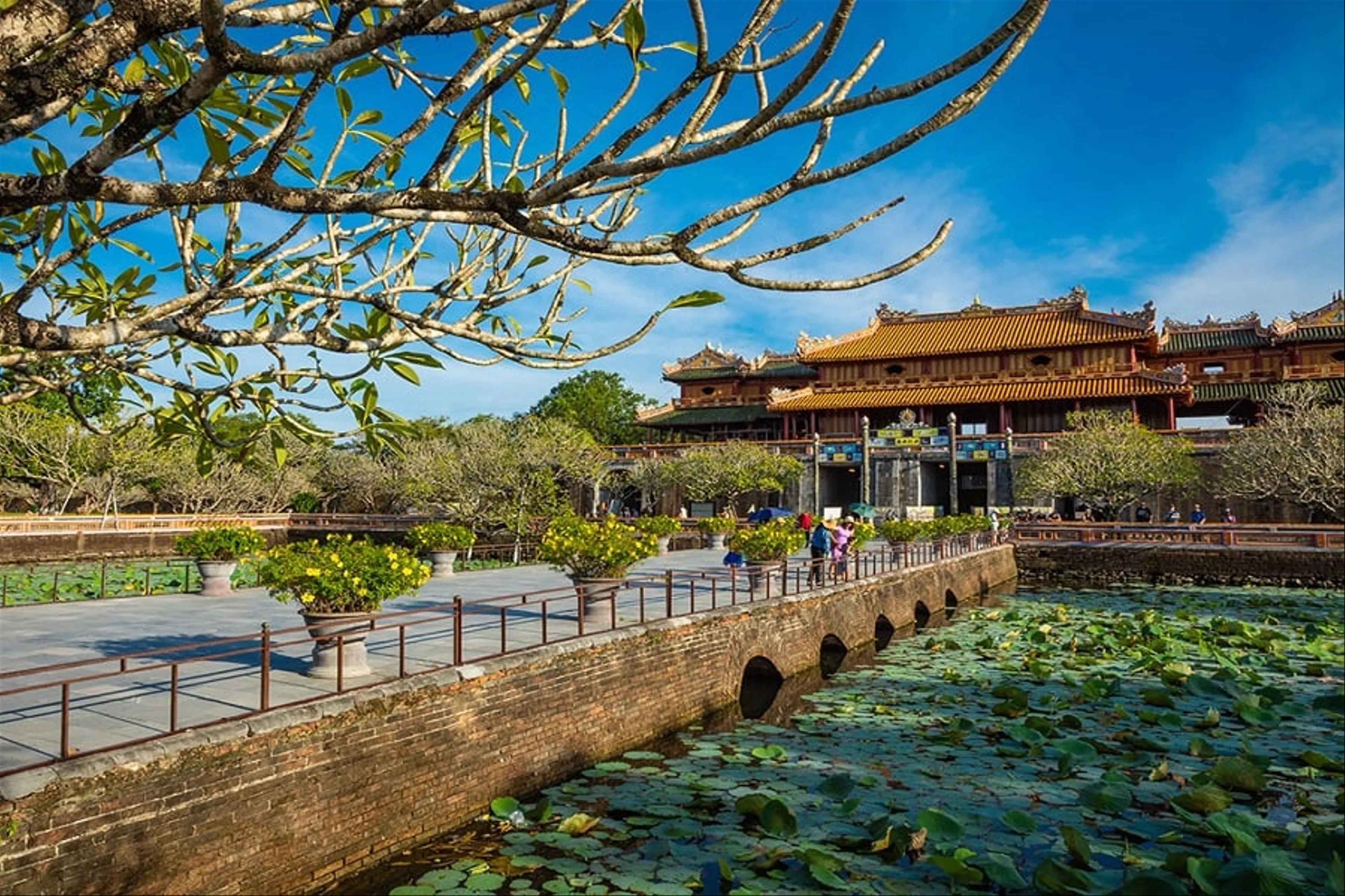 Da Nang - Hoi An - Hue - "Worthing Living" Cities tour