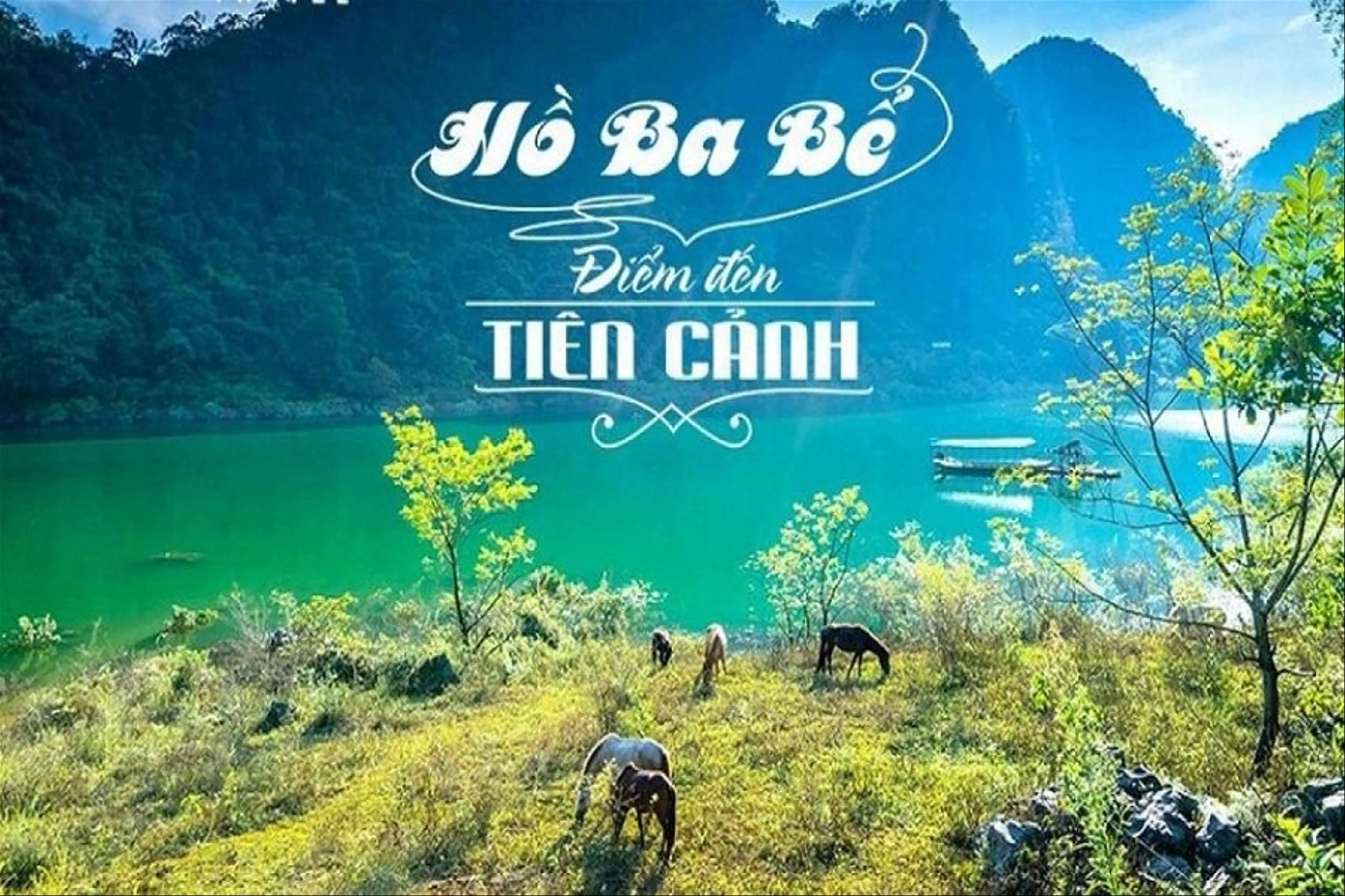 Ba Be national park tour - Exploring virgin forest