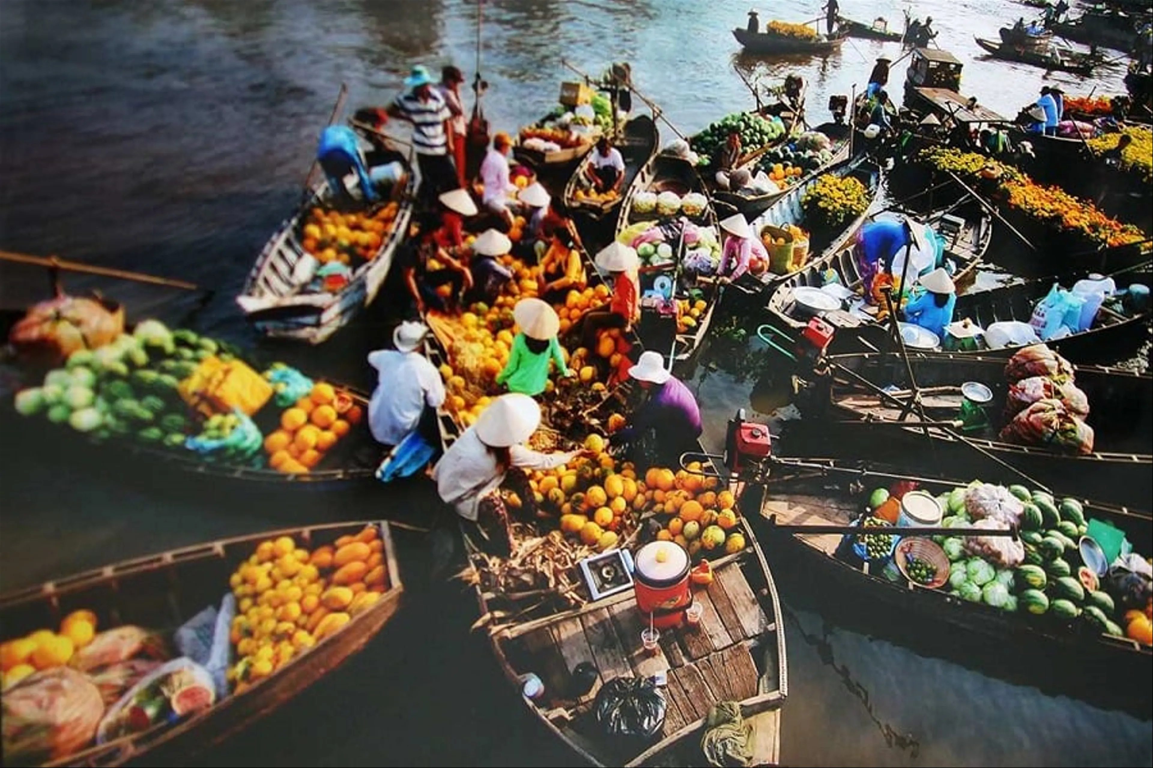 MEKONG DELTA 1 DAY TOUR (Sai Gon - Ben Tre)