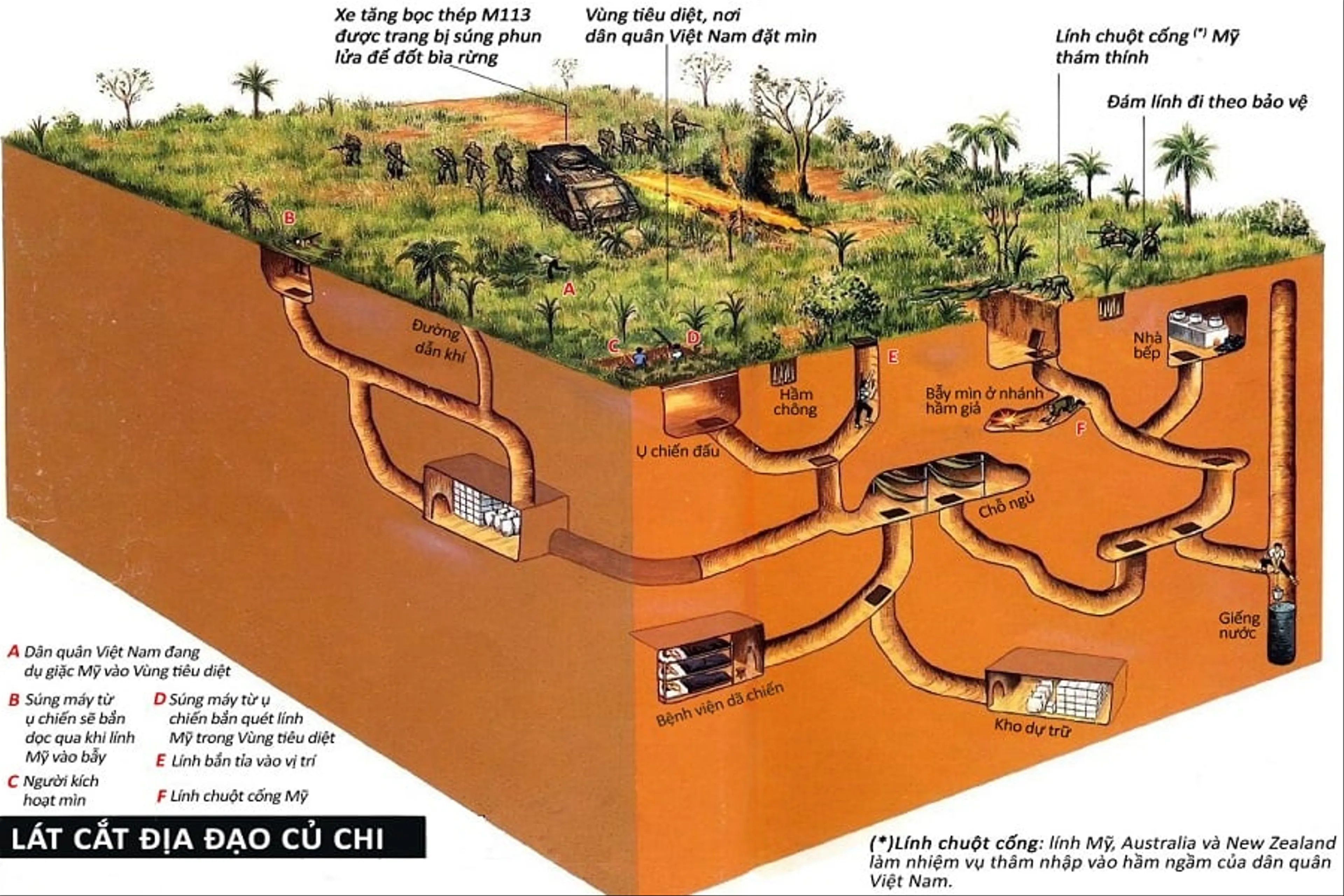 Cu Chi Tunnels - a miracle of Vietnam history.