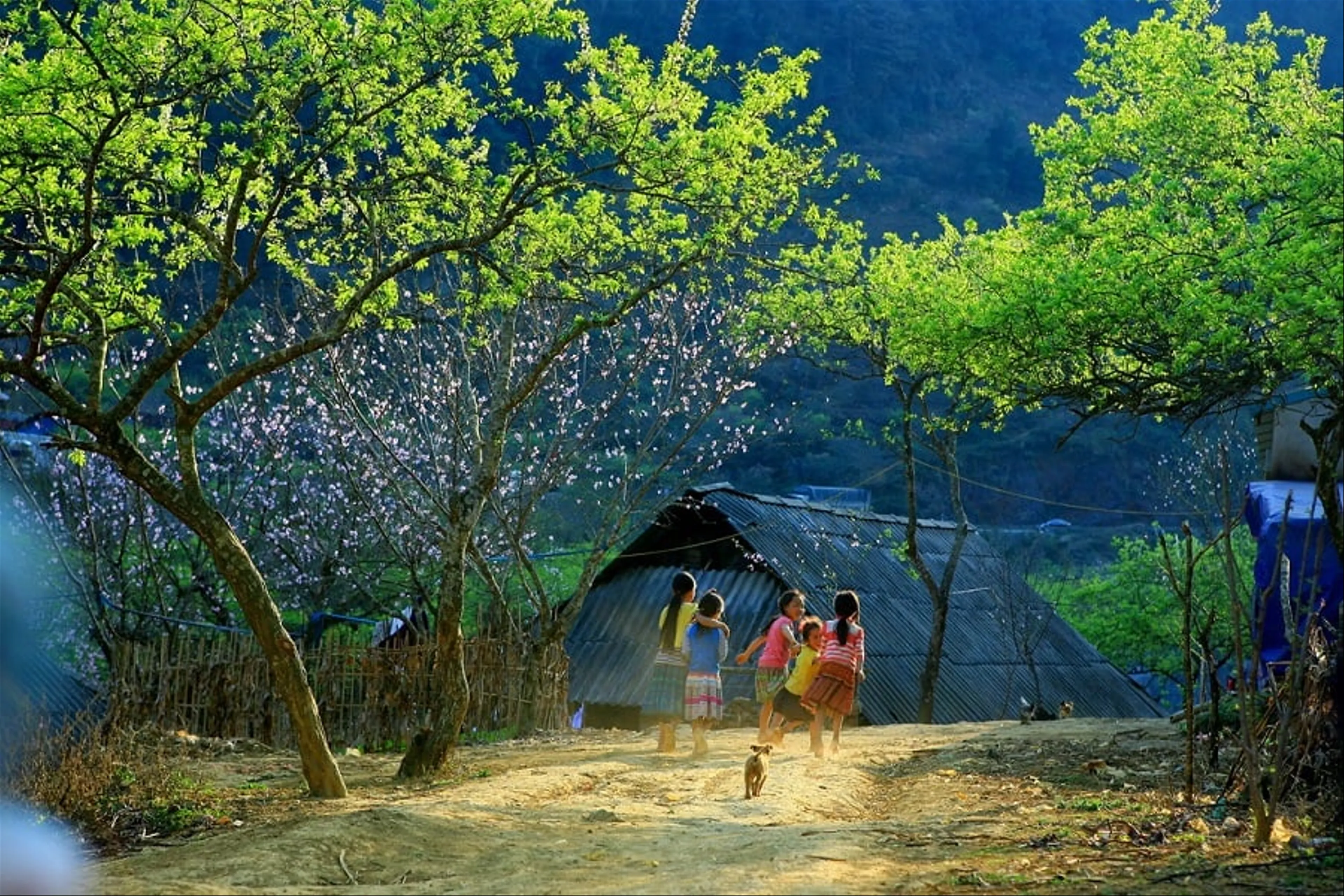 Tour du lịch Mộc Châu 3 ngày 2 đêm - Vùng trời Tây Bắc