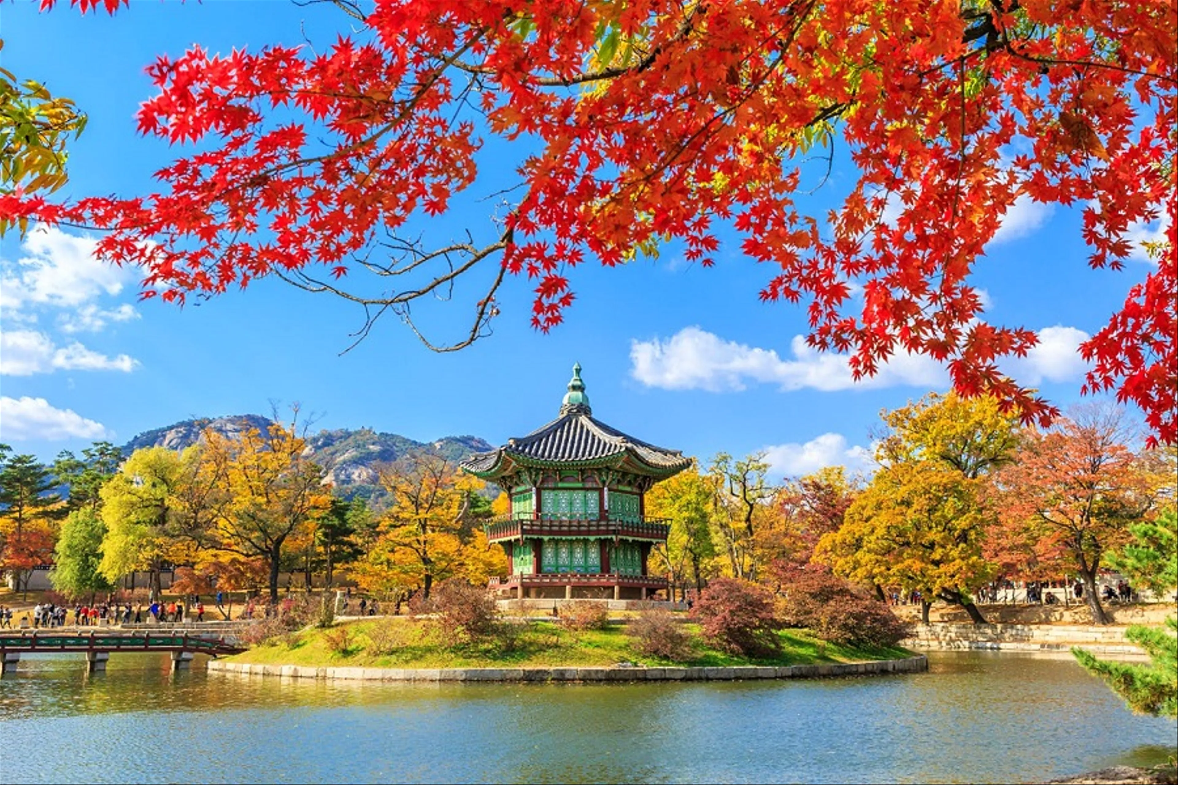 Những điều cần biết khi xin visa Hàn Quốc tự túc