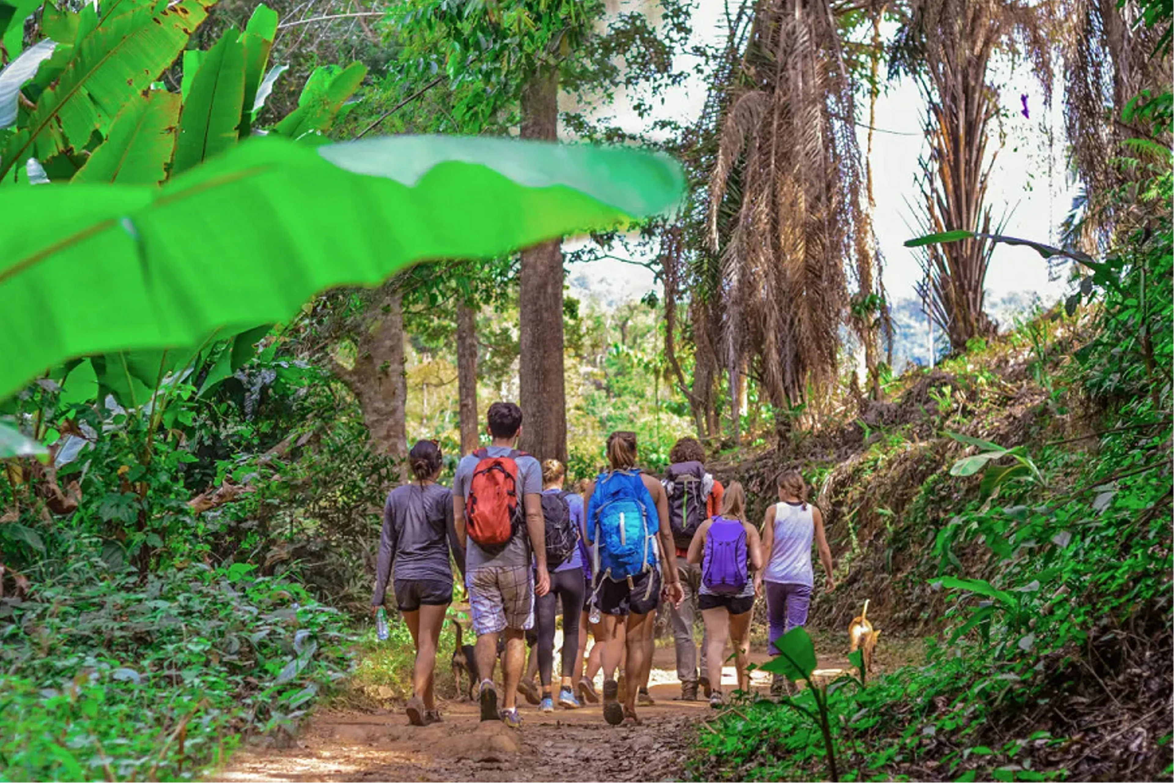 Trekking ở Thái Lan
