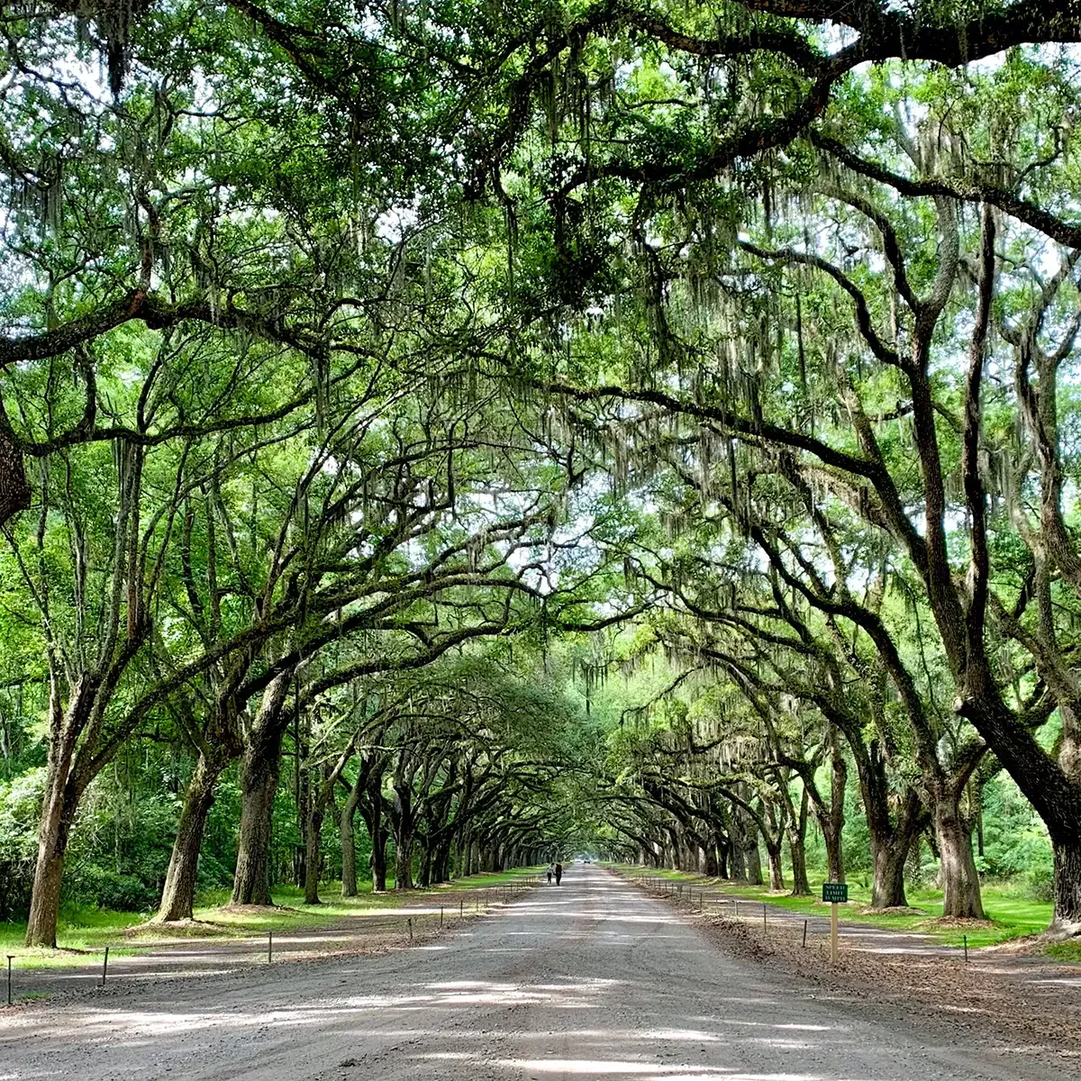 Off the Beaten Path: Discovering Savannah's Secret Spots
