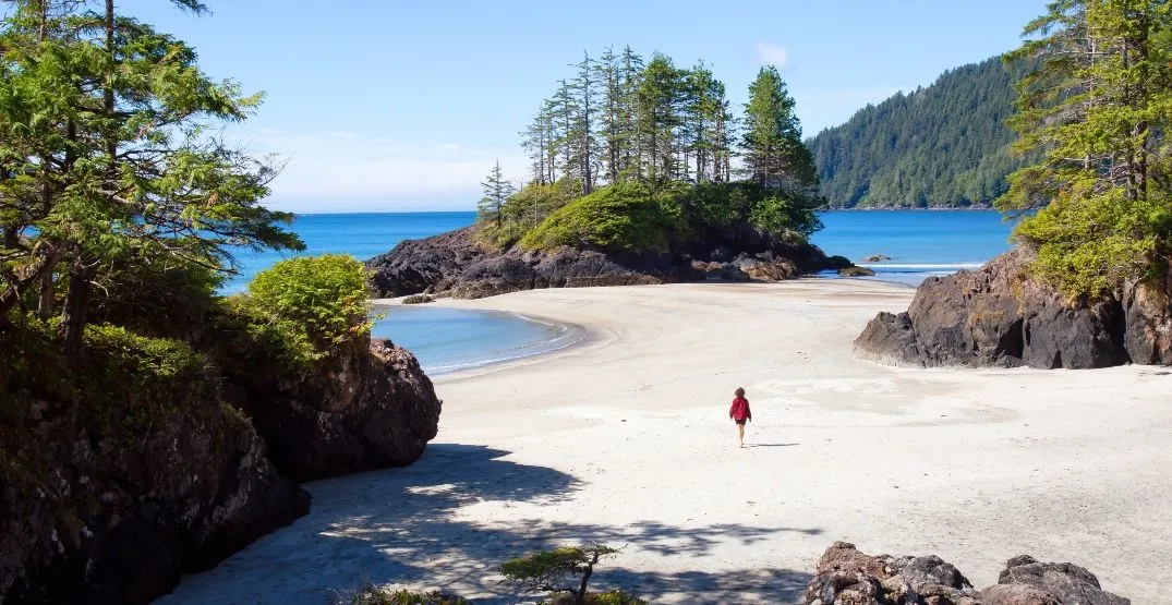 Top Hidden Beaches to Explore