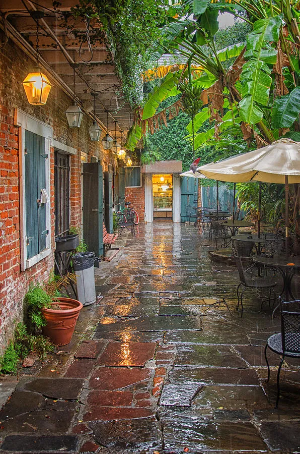 Exploring the French Quarter's Hidden Courtyards