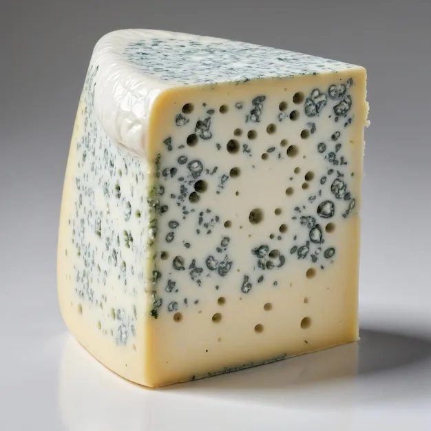 The Art of Cheese-Making in Southern France