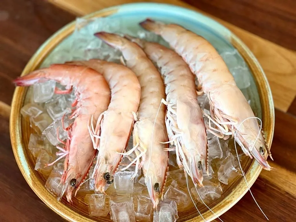 Savoring Seafood Delights on the East Coast